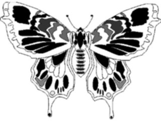 Sticker Custom Preview Image #023669 Animals Insects Butterfly014