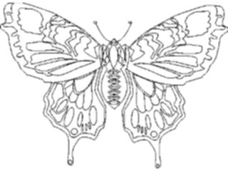 Sticker Custom Preview Image #023670 Animals Insects Butterfly015