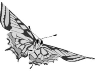 Sticker Custom Preview Image #023672 Animals Insects Butterfly017