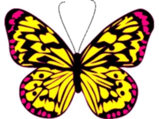 Sticker Custom Preview Image #023676 Animals Insects Butterfly021