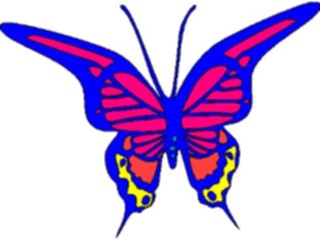 Sticker Custom Preview Image #023678 Animals Insects Butterfly023