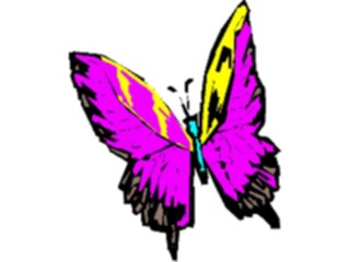 Sticker Custom Preview Image #023680 Animals Insects Butterfly025