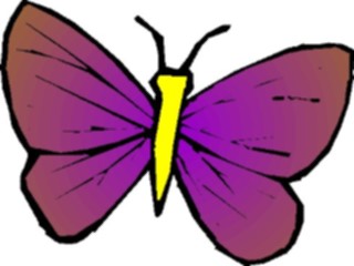 Sticker Custom Preview Image #023682 Animals Insects Butterfly027