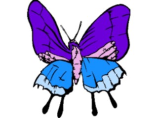 Sticker Custom Preview Image #023683 Animals Insects Butterfly028