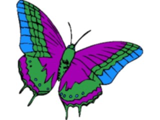 Sticker Custom Preview Image #023684 Animals Insects Butterfly029