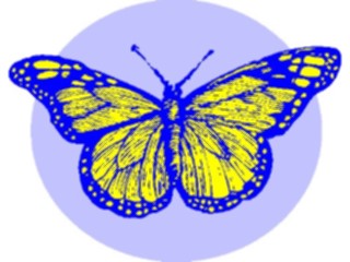 Sticker Custom Preview Image #023686 Animals Insects Butterfly031