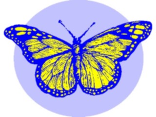 Sticker Custom Preview Image #023686 Animals Insects Butterfly031