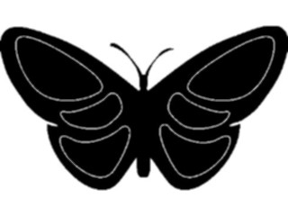 Sticker Custom Preview Image #023688 Animals Insects Butterfly033