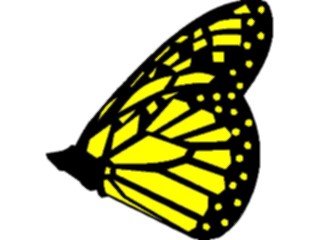 Sticker Custom Preview Image #023690 Animals Insects Butterfly035