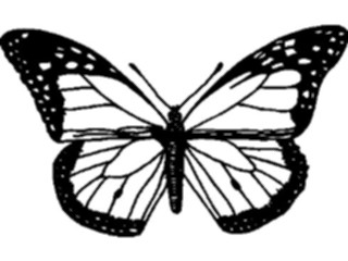 Sticker Custom Preview Image #023691 Animals Insects Butterfly036