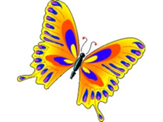 Sticker Custom Preview Image #023692 Animals Insects Butterfly037