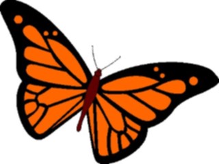 Sticker Custom Preview Image #023693 Animals Insects Butterfly038