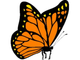 Sticker Custom Preview Image #023694 Animals Insects Butterfly039