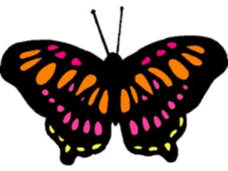 Sticker Custom Preview Image #023697 Animals Insects Butterfly042