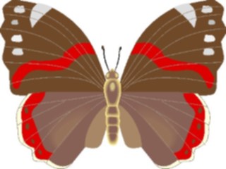 Sticker Custom Preview Image #023699 Animals Insects Butterfly044