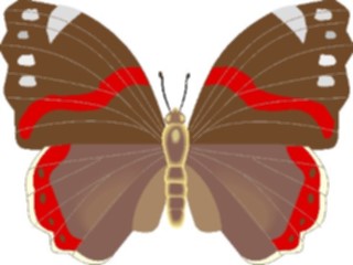 Sticker Custom Preview Image #023699 Animals Insects Butterfly044