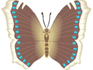 Sticker Custom Preview Image #023701 Animals Insects Butterfly046