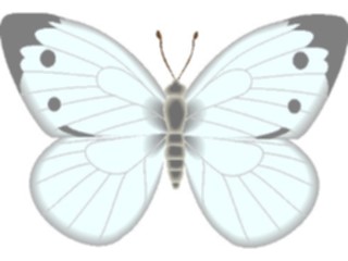 Sticker Custom Preview Image #023702 Animals Insects Butterfly047