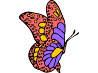 Sticker Custom Preview Image #023703 Animals Insects Butterfly048