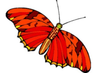 Sticker Custom Preview Image #023704 Animals Insects Butterfly049