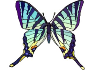 Sticker Custom Preview Image #023706 Animals Insects Butterfly051