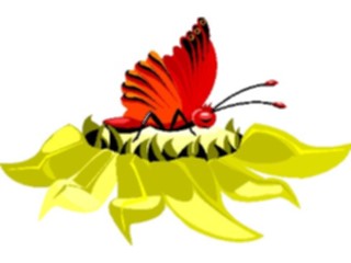 Sticker Custom Preview Image #023709 Animals Insects Butterfly054