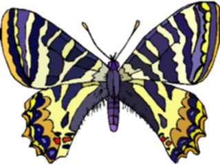 Sticker Custom Preview Image #023710 Animals Insects Butterfly055