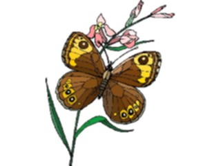 Sticker Custom Preview Image #023712 Animals Insects Butterfly057