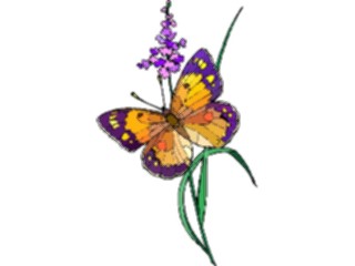 Sticker Custom Preview Image #023714 Animals Insects Butterfly059