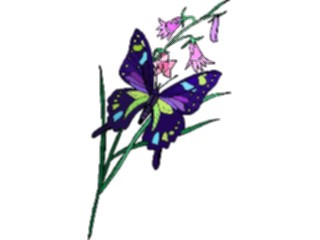 Sticker Custom Preview Image #023715 Animals Insects Butterfly060