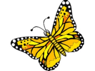 Sticker Custom Preview Image #023716 Animals Insects Butterfly061