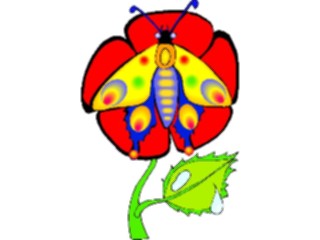 Sticker Custom Preview Image #023717 Animals Insects Butterfly062