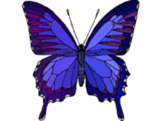 Sticker Custom Preview Image #023718 Animals Insects Butterfly063