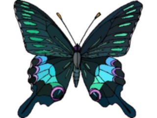 Sticker Custom Preview Image #023719 Animals Insects Butterfly064