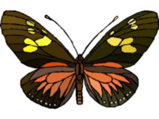 Sticker Custom Preview Image #023720 Animals Insects Butterfly065