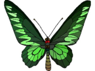 Sticker Custom Preview Image #023723 Animals Insects Butterfly068