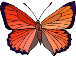 Sticker Custom Preview Image #023724 Animals Insects Butterfly069