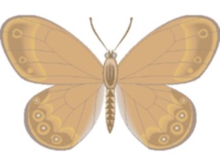 Sticker Custom Preview Image #023728 Animals Insects Butterfly073