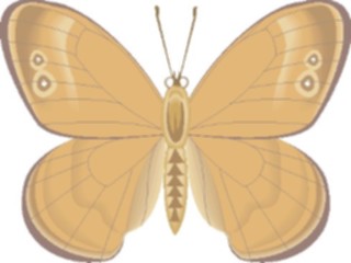 Sticker Custom Preview Image #023729 Animals Insects Butterfly074