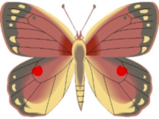 Sticker Custom Preview Image #023730 Animals Insects Butterfly075