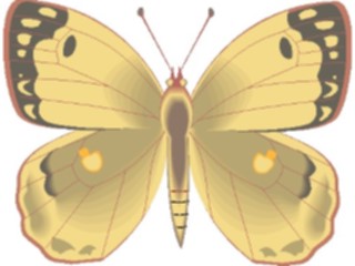 Sticker Custom Preview Image #023731 Animals Insects Butterfly076