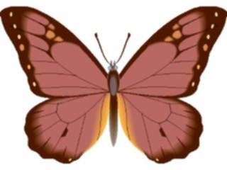 Sticker Custom Preview Image #023732 Animals Insects Butterfly077