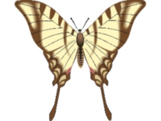 Sticker Custom Preview Image #023733 Animals Insects Butterfly078