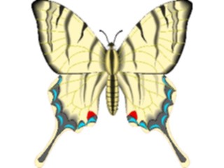 Sticker Custom Preview Image #023736 Animals Insects Butterfly081