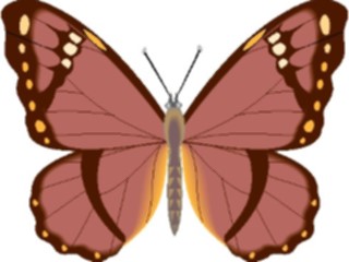 Sticker Custom Preview Image #023738 Animals Insects Butterfly083