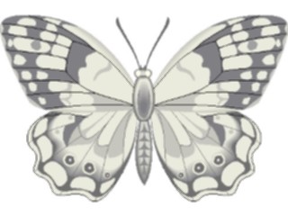 Sticker Custom Preview Image #023739 Animals Insects Butterfly084