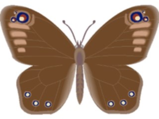 Sticker Custom Preview Image #023741 Animals Insects Butterfly086