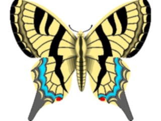 Sticker Custom Preview Image #023743 Animals Insects Butterfly088