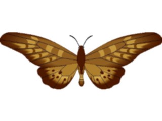 Sticker Custom Preview Image #023744 Animals Insects Butterfly089