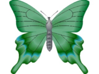 Sticker Custom Preview Image #023745 Animals Insects Butterfly090